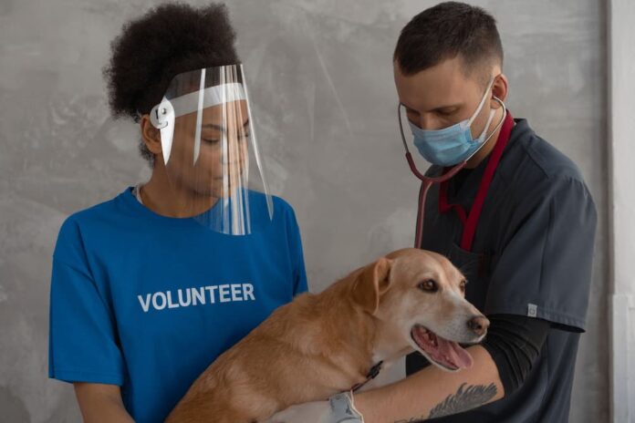 Istruttore Pet First Aid Istruttore Pet First Aid
